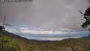 ./images/calvert/fitz-hugh-hecate/20250521/fitz-hugh-hecate20250521_171510M.jpg