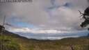 ./images/calvert/fitz-hugh-hecate/20250521/fitz-hugh-hecate20250521_172009M.jpg