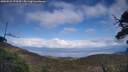 ./images/calvert/fitz-hugh-hecate/20250521/fitz-hugh-hecate20250521_173510M.jpg