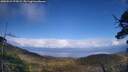 ./images/calvert/fitz-hugh-hecate/20250521/fitz-hugh-hecate20250521_175008M.jpg