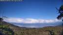 ./images/calvert/fitz-hugh-hecate/20250521/fitz-hugh-hecate20250521_183510M.jpg