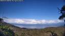 ./images/calvert/fitz-hugh-hecate/20250521/fitz-hugh-hecate20250521_184010M.jpg