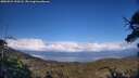 ./images/calvert/fitz-hugh-hecate/20250521/fitz-hugh-hecate20250521_190508M.jpg