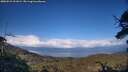 ./images/calvert/fitz-hugh-hecate/20250521/fitz-hugh-hecate20250521_191009M.jpg