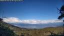 ./images/calvert/fitz-hugh-hecate/20250521/fitz-hugh-hecate20250521_191508M.jpg