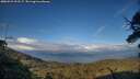 ./images/calvert/fitz-hugh-hecate/20250521/fitz-hugh-hecate20250521_193506M.jpg