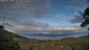 ./images/calvert/fitz-hugh-hecate/20250521/fitz-hugh-hecate20250521_195508M.jpg