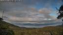 ./images/calvert/fitz-hugh-hecate/20250521/fitz-hugh-hecate20250521_200009M.jpg