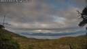 ./images/calvert/fitz-hugh-hecate/20250521/fitz-hugh-hecate20250521_200508M.jpg