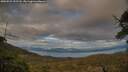 ./images/calvert/fitz-hugh-hecate/20250521/fitz-hugh-hecate20250521_202508M.jpg