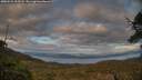 ./images/calvert/fitz-hugh-hecate/20250521/fitz-hugh-hecate20250521_203508M.jpg