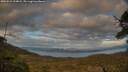./images/calvert/fitz-hugh-hecate/20250521/fitz-hugh-hecate20250521_204007M.jpg
