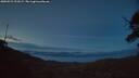 ./images/calvert/fitz-hugh-hecate/20250521/fitz-hugh-hecate20250521_221008M.jpg