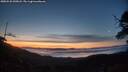 ./images/calvert/fitz-hugh-hecate/20250522/fitz-hugh-hecate20250522_045008M.jpg
