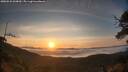 ./images/calvert/fitz-hugh-hecate/20250522/fitz-hugh-hecate20250522_060010M.jpg