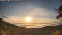 ./images/calvert/fitz-hugh-hecate/20250522/fitz-hugh-hecate20250522_063010M.jpg