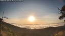./images/calvert/fitz-hugh-hecate/20250522/fitz-hugh-hecate20250522_064509M.jpg