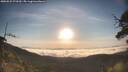./images/calvert/fitz-hugh-hecate/20250522/fitz-hugh-hecate20250522_070510M.jpg