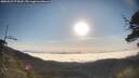 ./images/calvert/fitz-hugh-hecate/20250522/fitz-hugh-hecate20250522_074510M.jpg