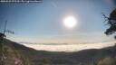 ./images/calvert/fitz-hugh-hecate/20250522/fitz-hugh-hecate20250522_075510M.jpg