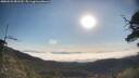 ./images/calvert/fitz-hugh-hecate/20250522/fitz-hugh-hecate20250522_081510M.jpg
