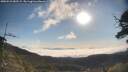 ./images/calvert/fitz-hugh-hecate/20250522/fitz-hugh-hecate20250522_082508M.jpg