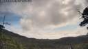 ./images/calvert/fitz-hugh-hecate/20250522/fitz-hugh-hecate20250522_091510M.jpg
