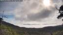 ./images/calvert/fitz-hugh-hecate/20250522/fitz-hugh-hecate20250522_093010M.jpg