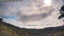 ./images/calvert/fitz-hugh-hecate/20250522/fitz-hugh-hecate20250522_093509M.jpg