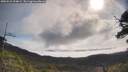 ./images/calvert/fitz-hugh-hecate/20250522/fitz-hugh-hecate20250522_094009M.jpg