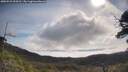 ./images/calvert/fitz-hugh-hecate/20250522/fitz-hugh-hecate20250522_094510M.jpg