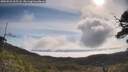 ./images/calvert/fitz-hugh-hecate/20250522/fitz-hugh-hecate20250522_095508M.jpg