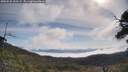 ./images/calvert/fitz-hugh-hecate/20250522/fitz-hugh-hecate20250522_100509M.jpg