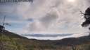 ./images/calvert/fitz-hugh-hecate/20250522/fitz-hugh-hecate20250522_101009M.jpg