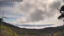 ./images/calvert/fitz-hugh-hecate/20250522/fitz-hugh-hecate20250522_101510M.jpg