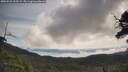 ./images/calvert/fitz-hugh-hecate/20250522/fitz-hugh-hecate20250522_102509M.jpg