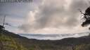 ./images/calvert/fitz-hugh-hecate/20250522/fitz-hugh-hecate20250522_103010M.jpg