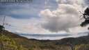 ./images/calvert/fitz-hugh-hecate/20250522/fitz-hugh-hecate20250522_105010M.jpg