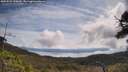 ./images/calvert/fitz-hugh-hecate/20250522/fitz-hugh-hecate20250522_110010M.jpg