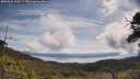 ./images/calvert/fitz-hugh-hecate/20250522/fitz-hugh-hecate20250522_110509M.jpg