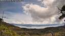 ./images/calvert/fitz-hugh-hecate/20250522/fitz-hugh-hecate20250522_113510M.jpg
