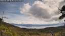 ./images/calvert/fitz-hugh-hecate/20250522/fitz-hugh-hecate20250522_114010M.jpg