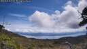 ./images/calvert/fitz-hugh-hecate/20250522/fitz-hugh-hecate20250522_122510M.jpg