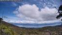 ./images/calvert/fitz-hugh-hecate/20250522/fitz-hugh-hecate20250522_130509M.jpg