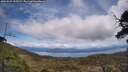 ./images/calvert/fitz-hugh-hecate/20250522/fitz-hugh-hecate20250522_132509M.jpg