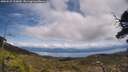 ./images/calvert/fitz-hugh-hecate/20250522/fitz-hugh-hecate20250522_133010M.jpg