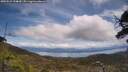 ./images/calvert/fitz-hugh-hecate/20250522/fitz-hugh-hecate20250522_134010M.jpg