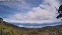 ./images/calvert/fitz-hugh-hecate/20250522/fitz-hugh-hecate20250522_134509M.jpg