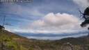 ./images/calvert/fitz-hugh-hecate/20250522/fitz-hugh-hecate20250522_135009M.jpg
