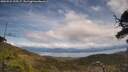 ./images/calvert/fitz-hugh-hecate/20250522/fitz-hugh-hecate20250522_135507M.jpg